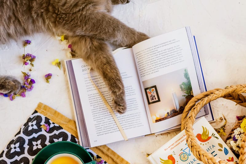 livre sur les chats